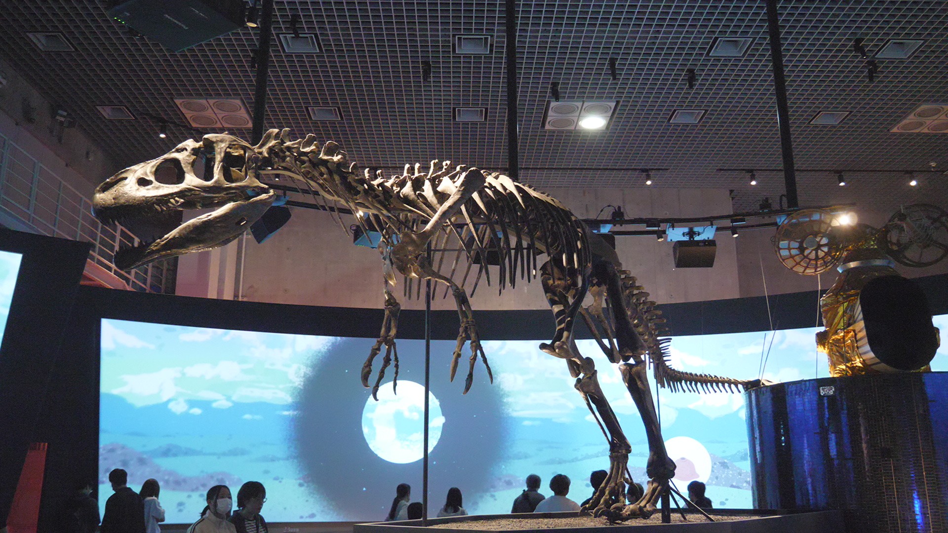 格調高い展示は国立科学博物館ならでは（国立科学博物館①）