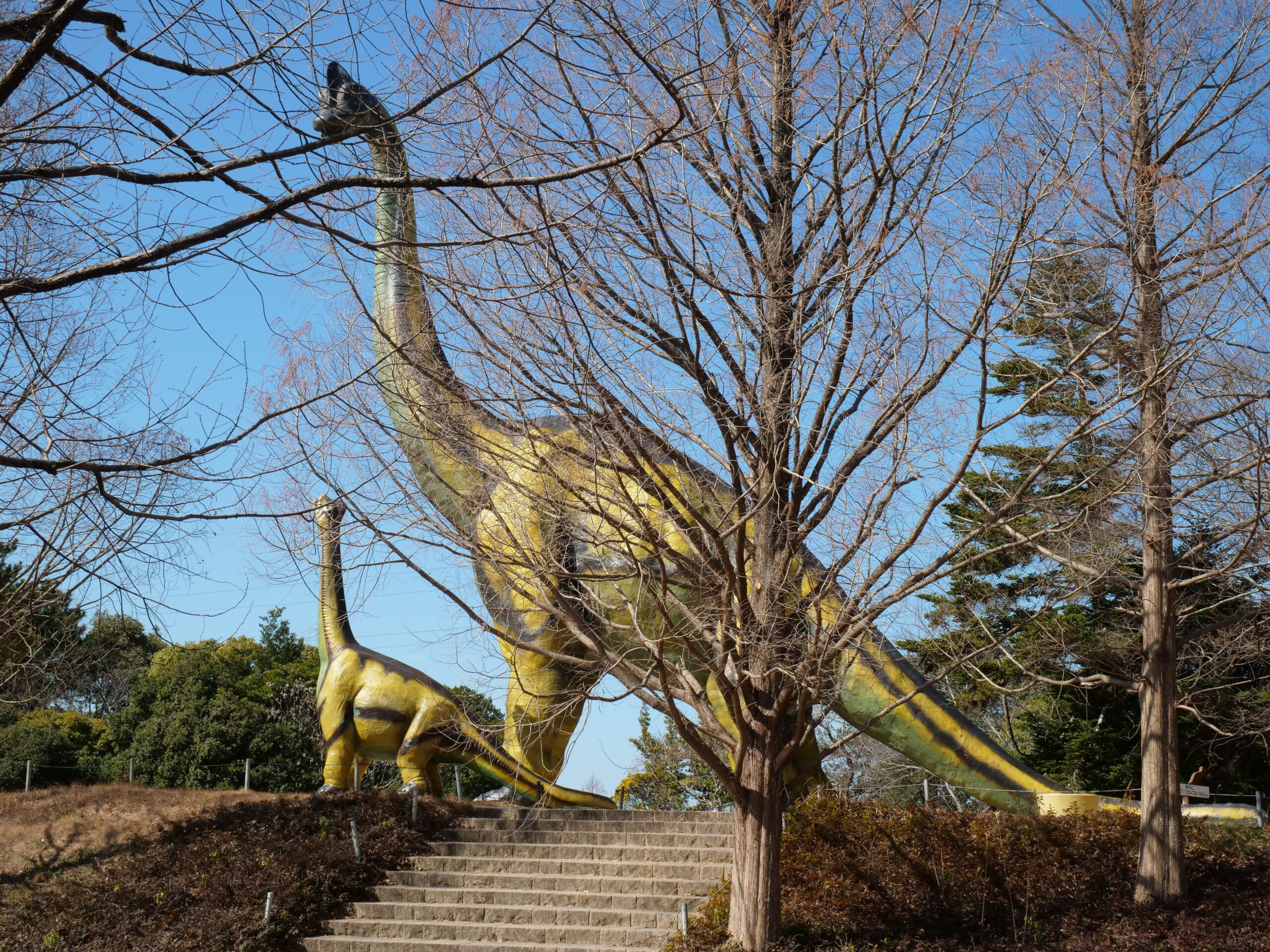 動物園・植物園・遊園地と同居する博物館（豊橋市自然史博物館⑤）