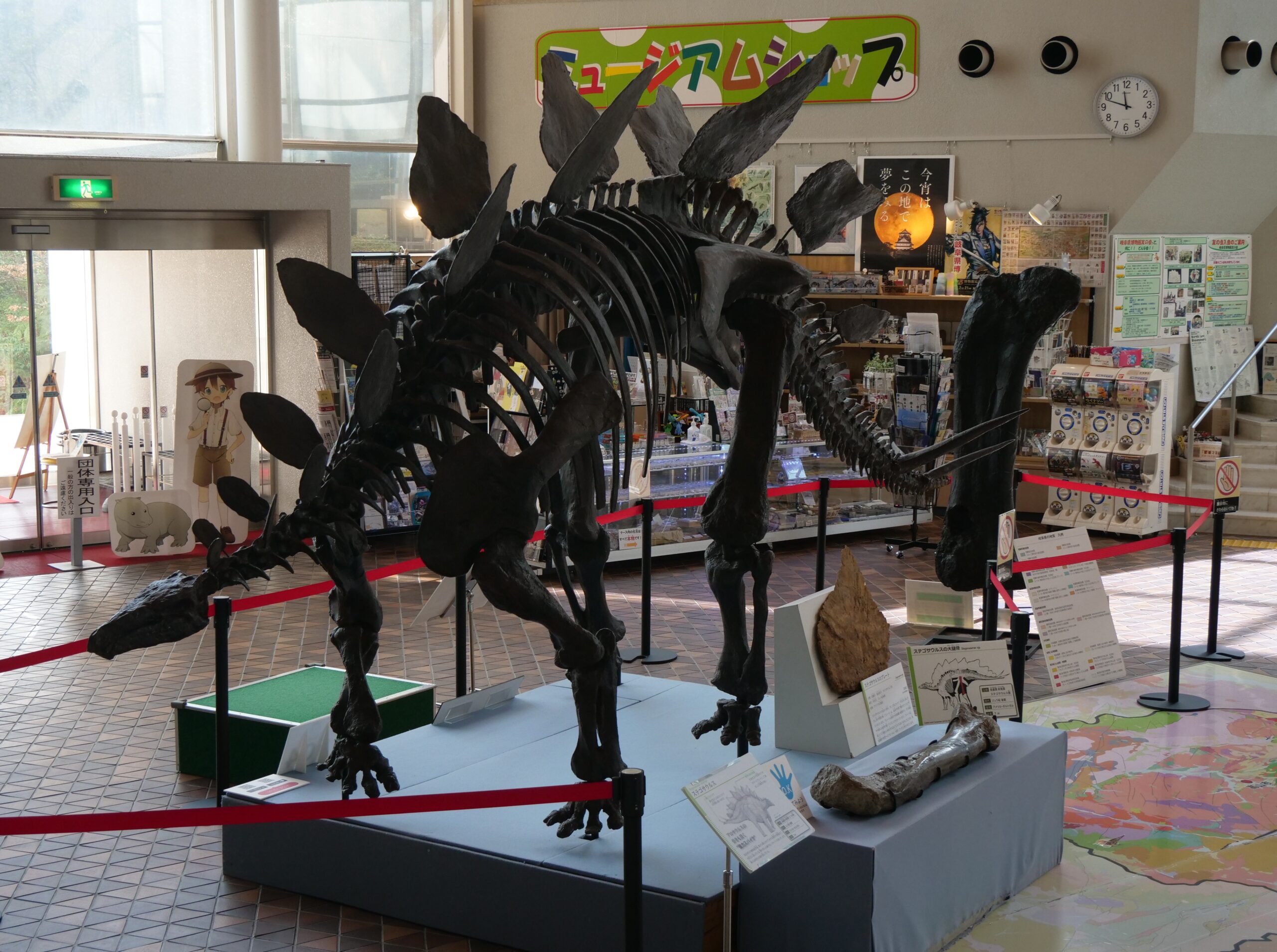 合掌造りの村の恐竜足跡化石を展示（岐阜県博物館①）