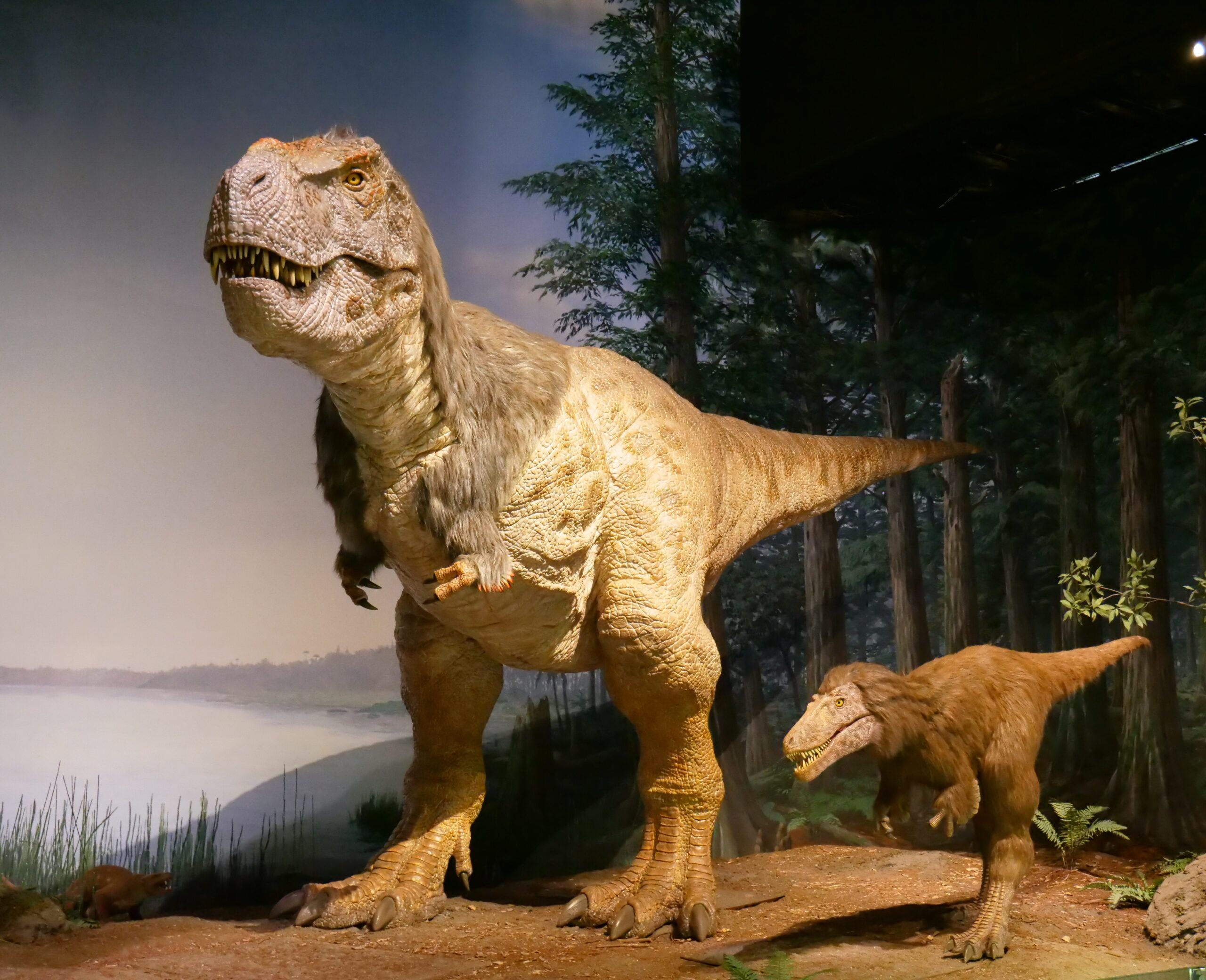 ティラノサウルスなど羽毛恐竜が並ぶ（ミュージアムパーク茨城県自然博物館②）