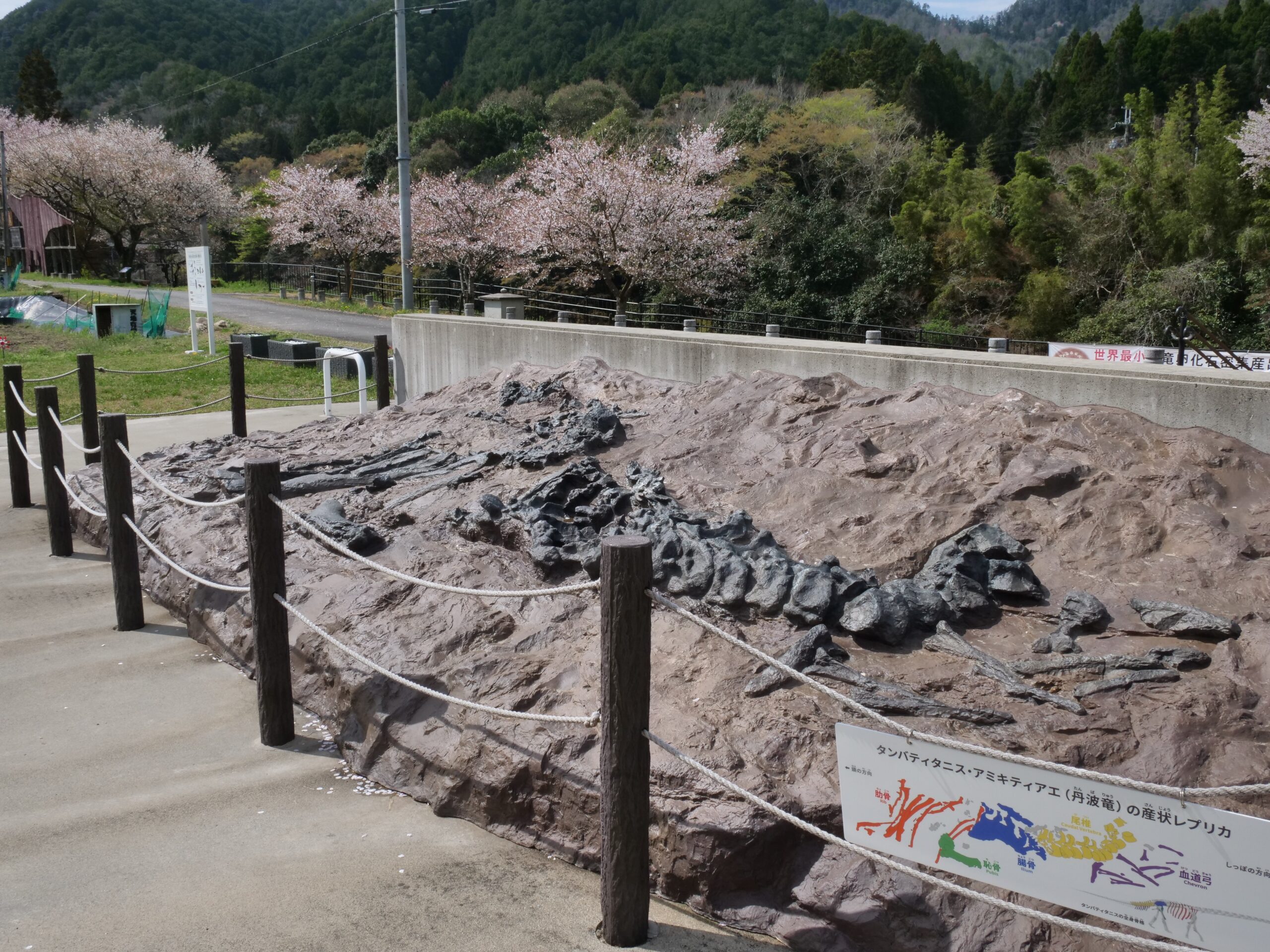 感慨深い丹波竜の化石産出地（丹波竜の里公園②）