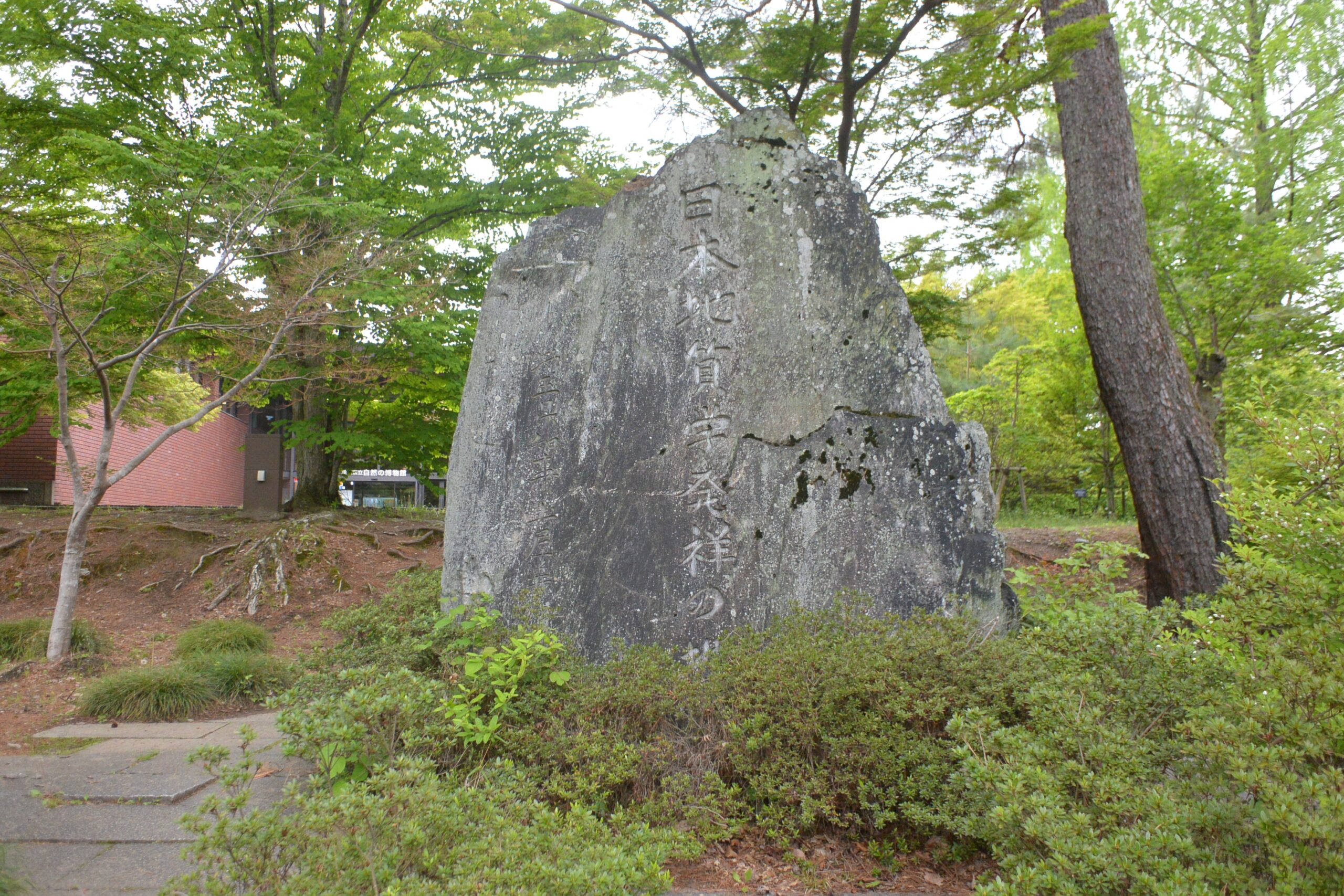 ちょっと怖いぞ、「メガロドン」の歯（埼玉県立自然の博物館②）