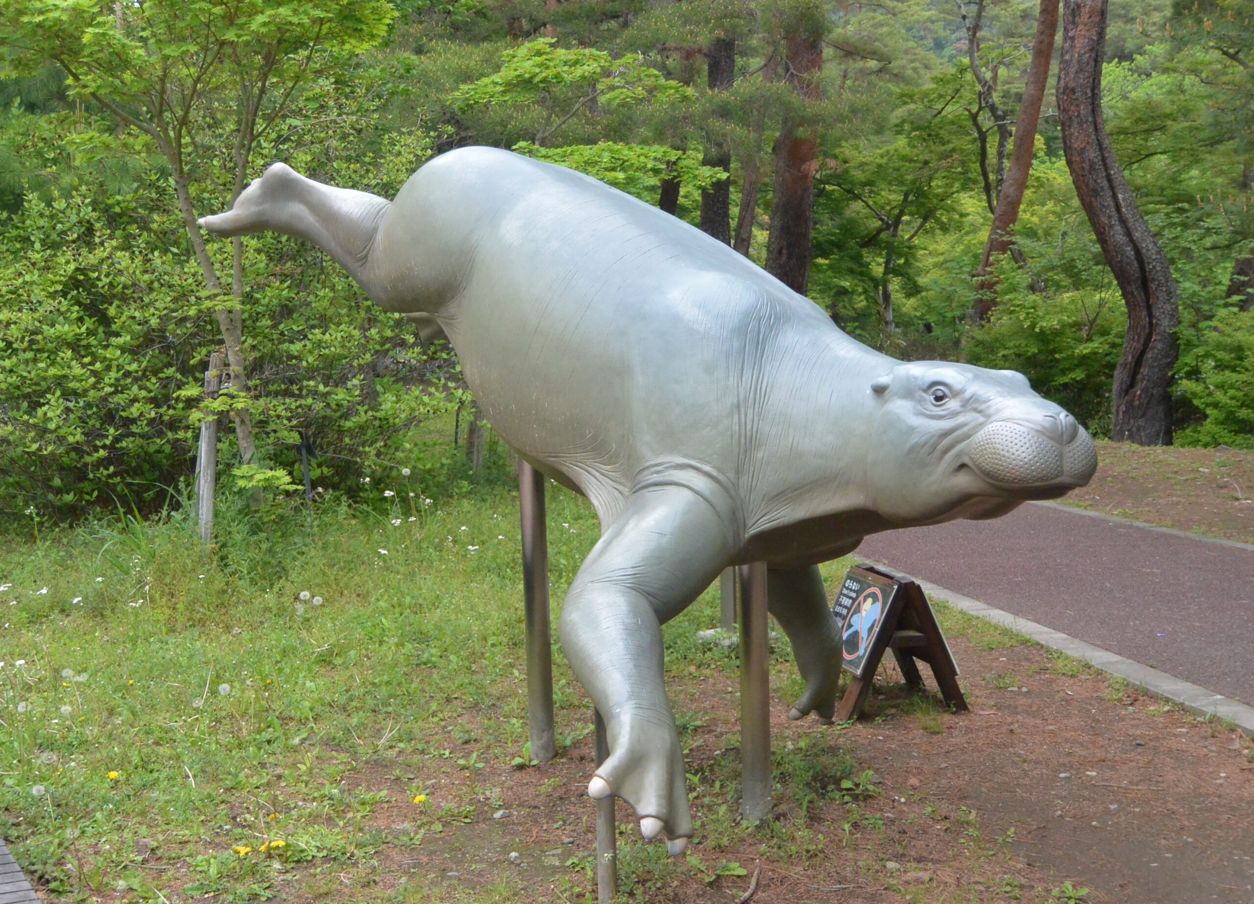 秩父のパレオパラドキシアは国天然記念物（埼玉県立自然の博物館①）