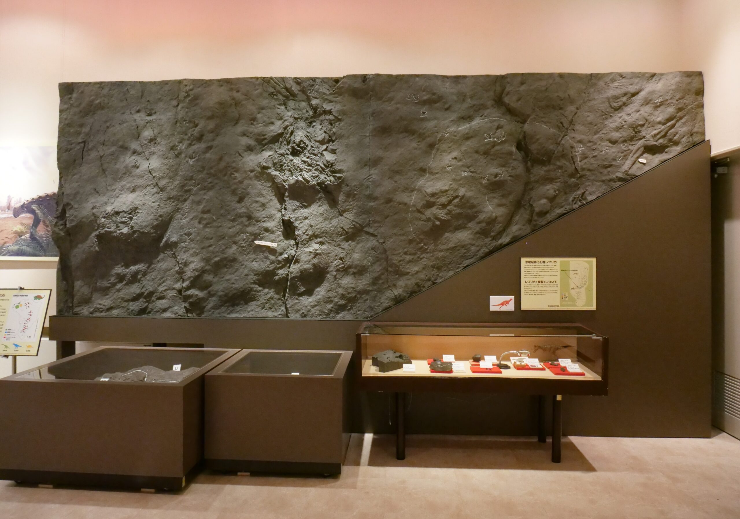 地元産出の恐竜足跡化石を展示（富山市大山歴史民俗資料館①）