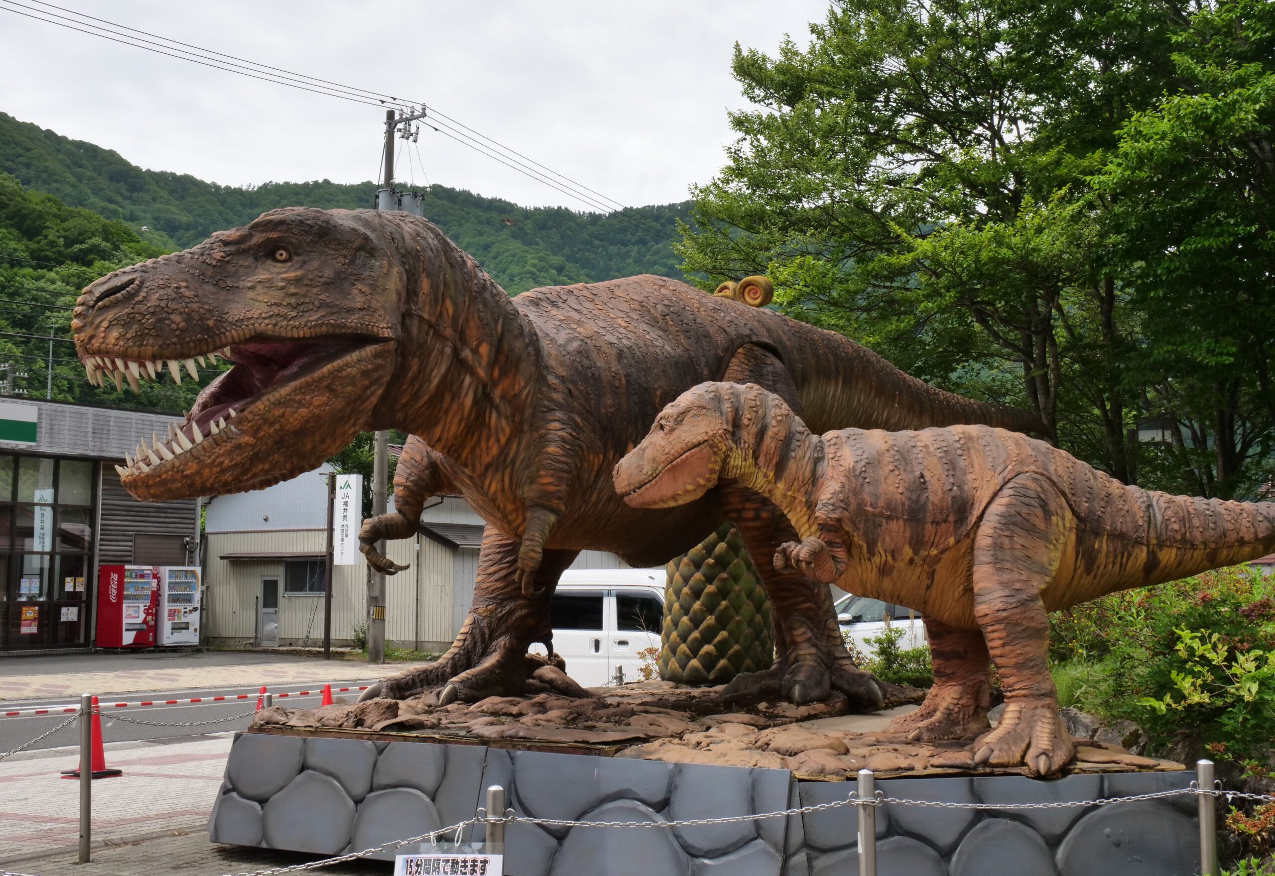 日本最古級のティラノサウルス類化石も展示（福井県大野市・和泉郷土資料館　くずりゅう化石ラボ・オーノ②）　