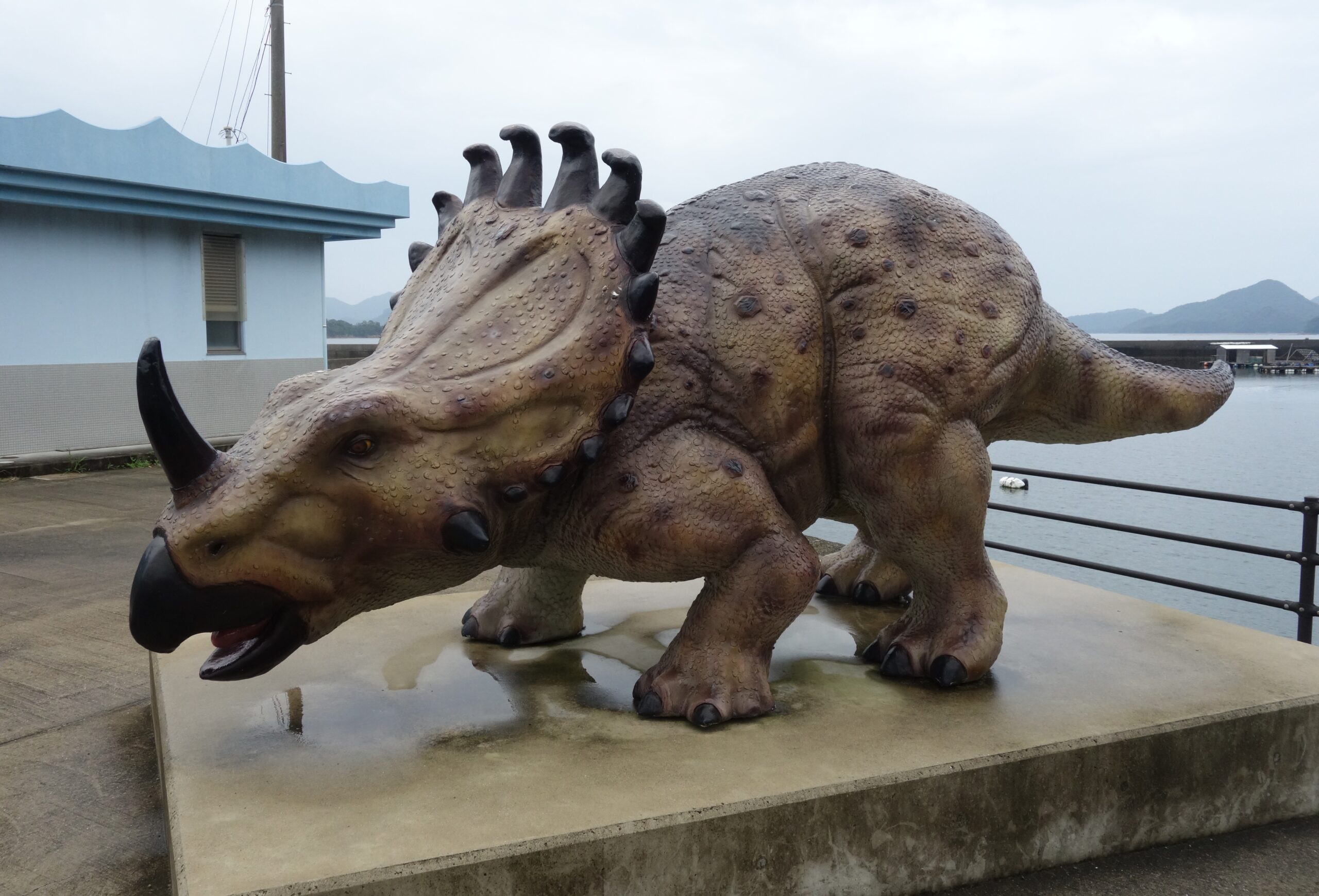 現実の恐竜の島は思ったより近かった（熊本県・天草市立御所浦恐竜の島博物館①）