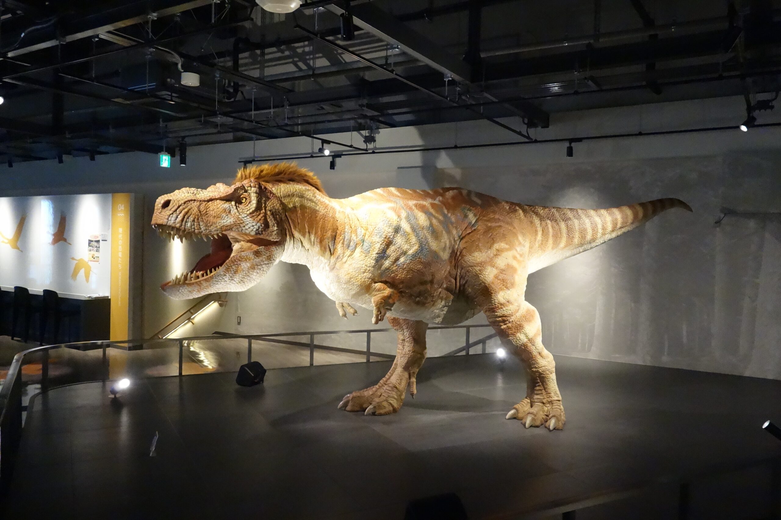 面白い展示がいっぱい。さまざまな三葉虫や「所属不明な生き物」、動くティラノサウルス（ベネックス恐竜博物館＝長崎市恐竜博物館④）